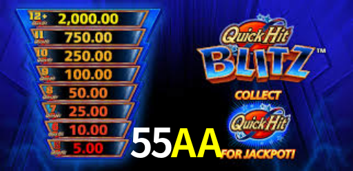 Interface Premium 55AA